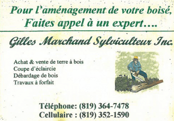 Logo de Gilles Marchand Sylviculture